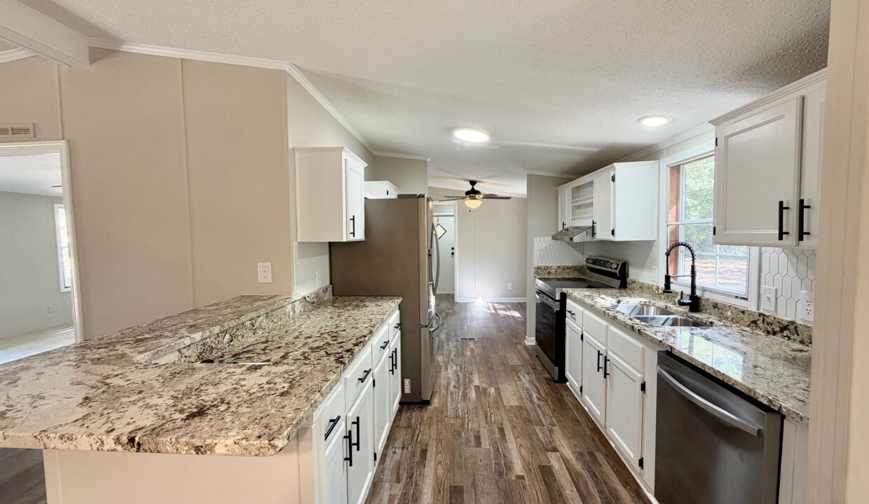 Kitchen 1